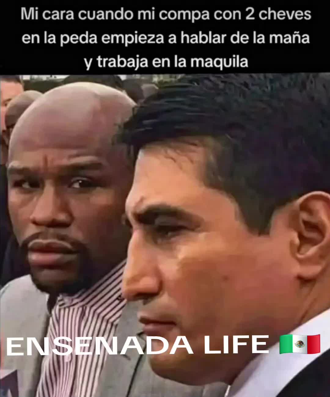 @EL Gallo Salcedo🇲🇽