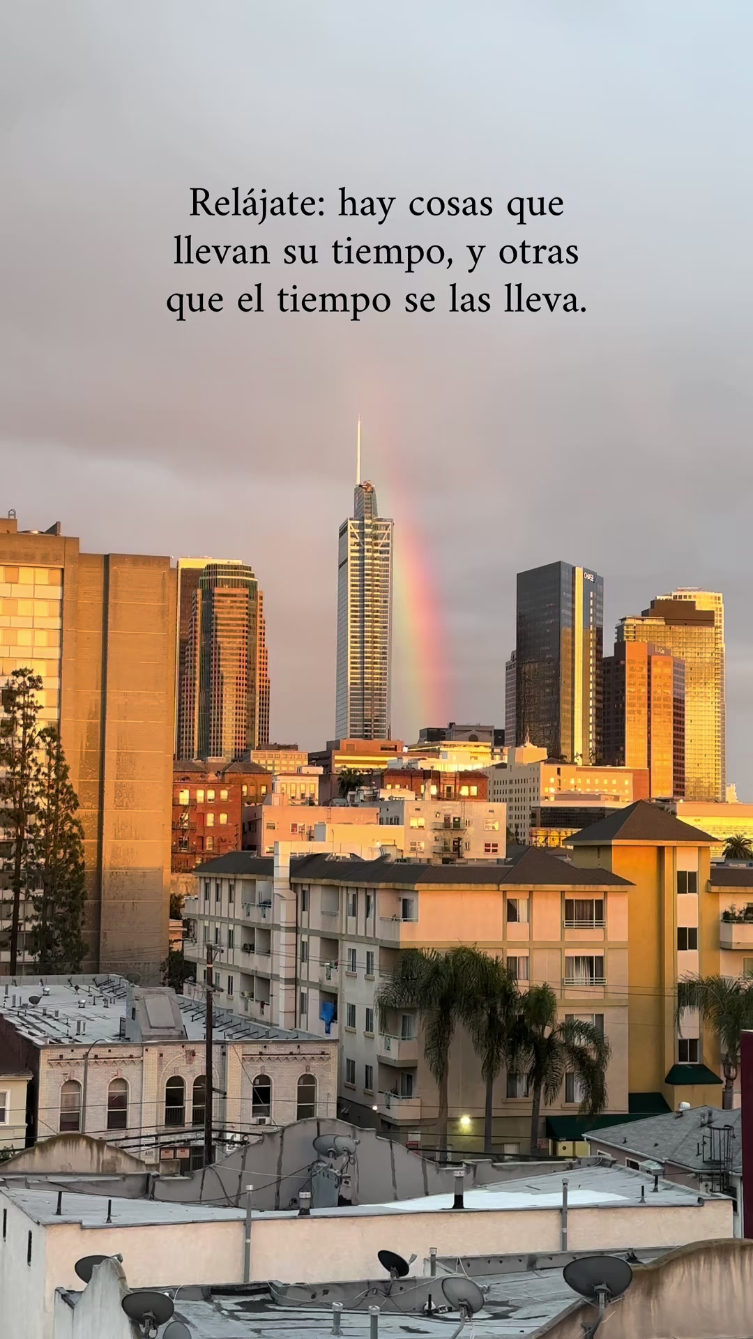 @Infinitas palabras🫀