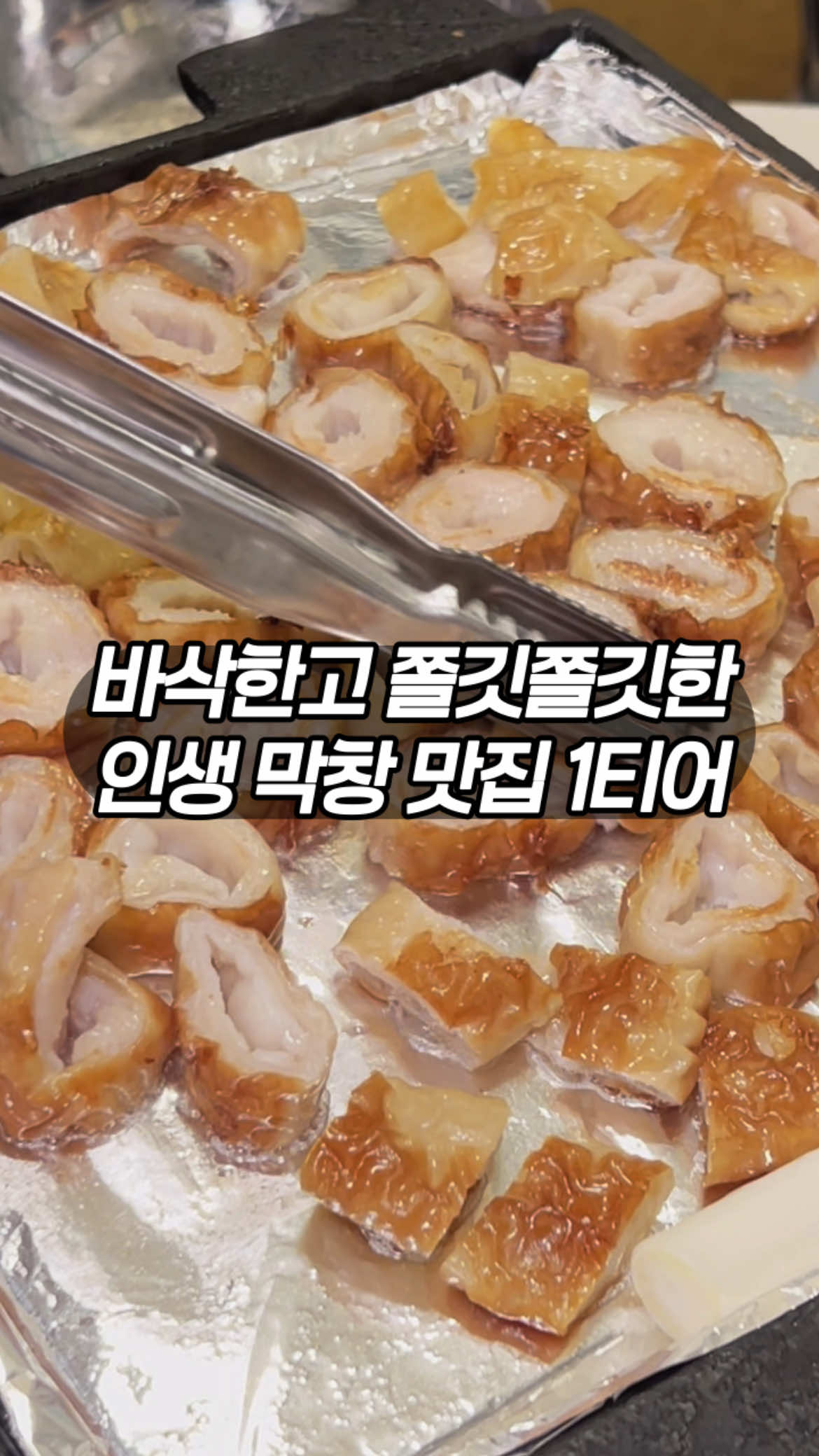 @잡식공룡