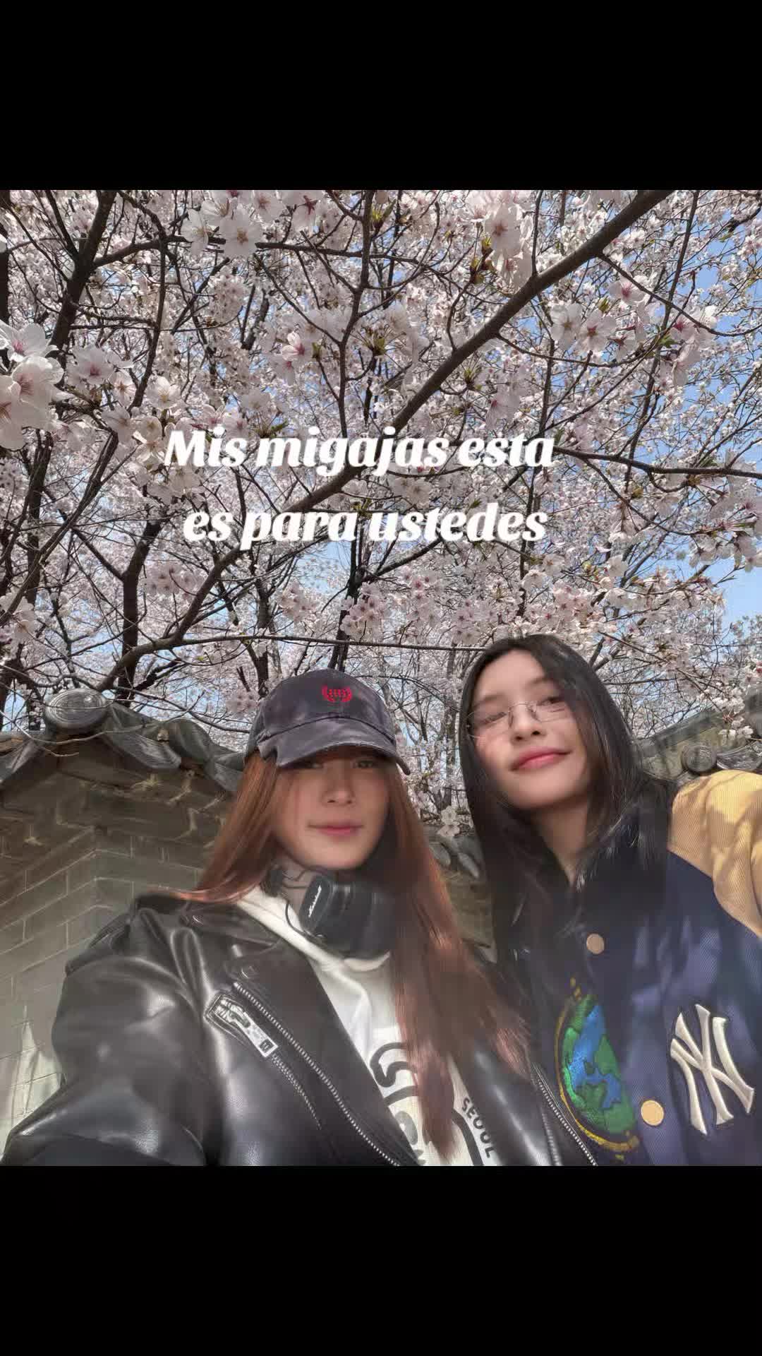 @ventiolkis_andalookkaew🇨🇷