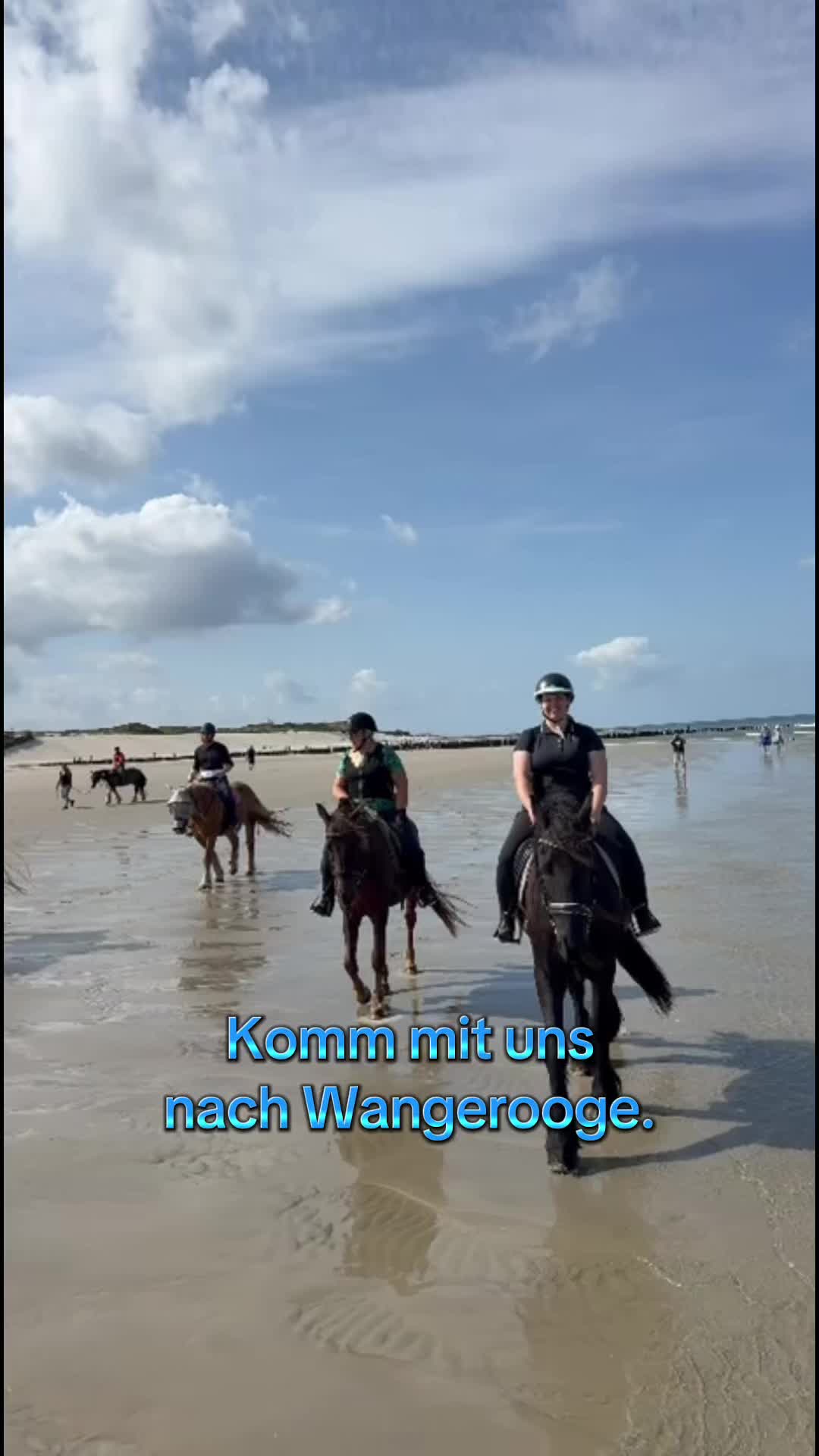 @pferdesportlandgrebe