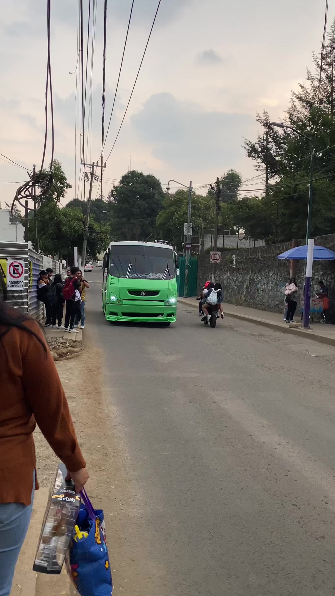 @BUSES ELEGANTES.🔥