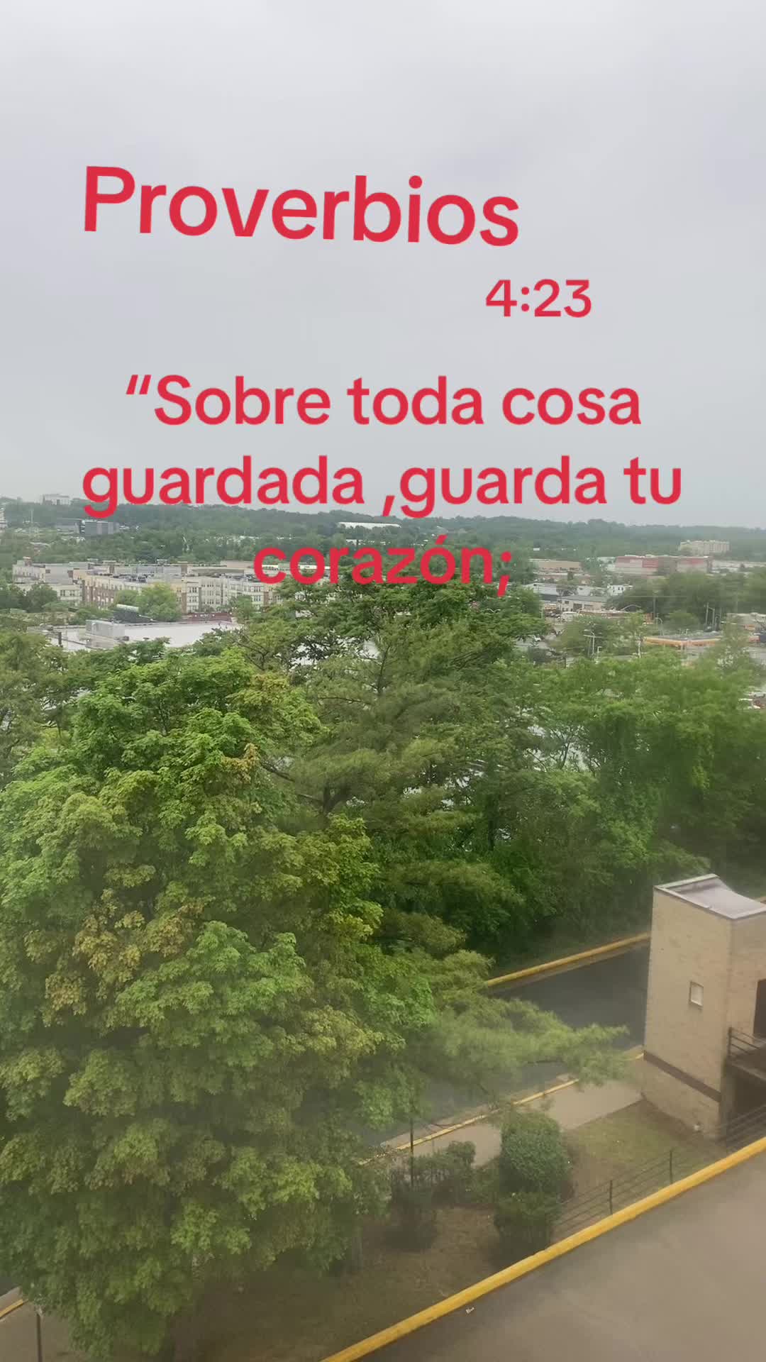 @Ch&aacute;vezmary