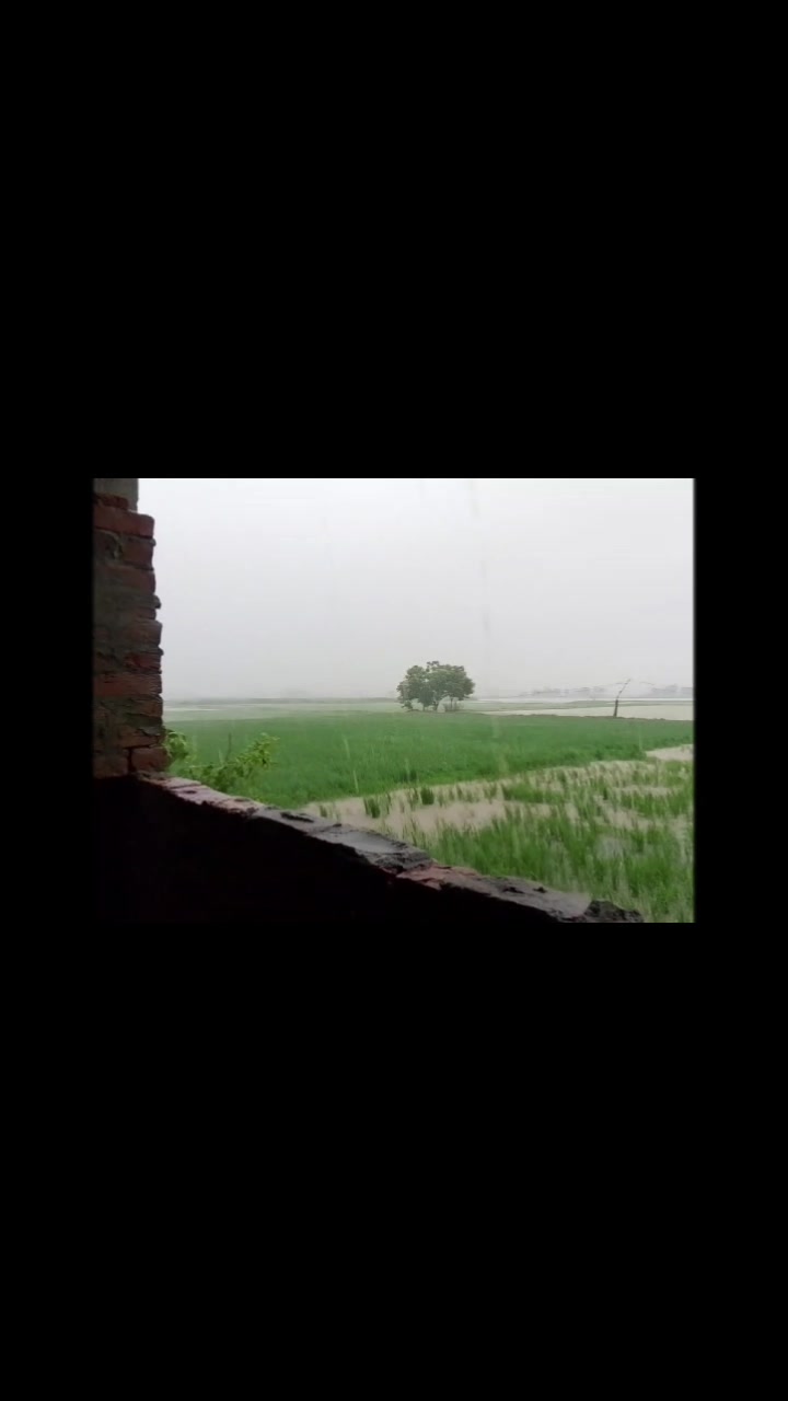 @Tayyab Goraya