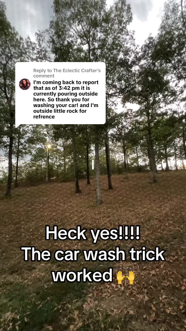 @KathyAnnn🏜️🧠🌻🌲