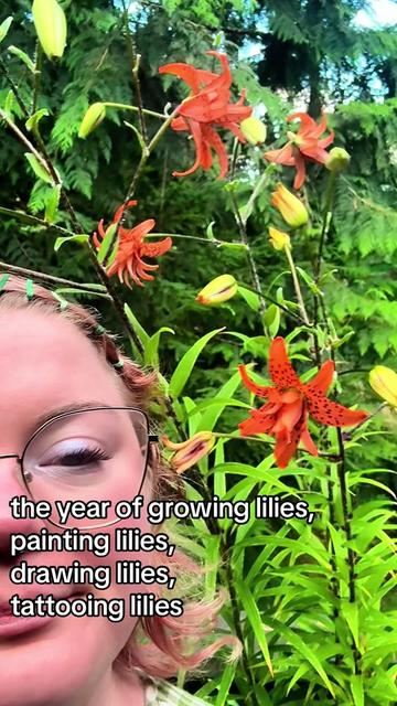 @paigeatlowlands