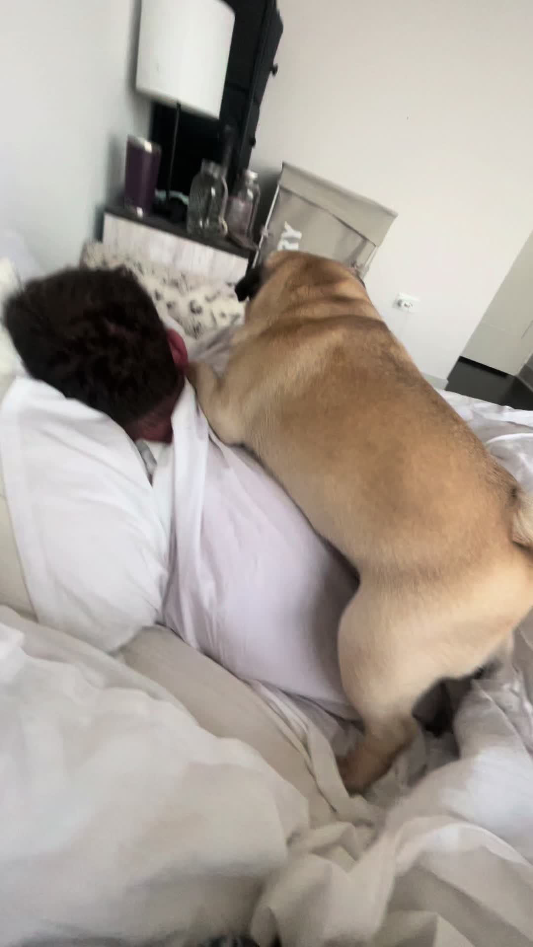 @PUGNAROUND