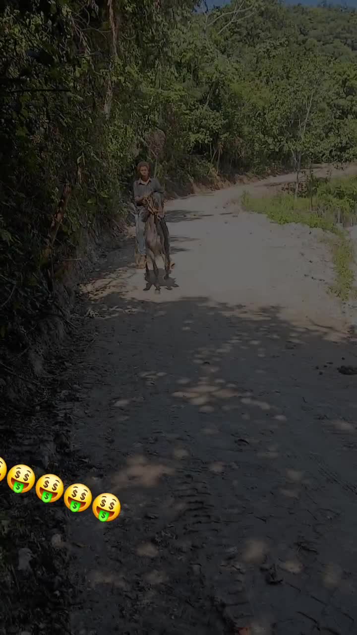 @slshsñ