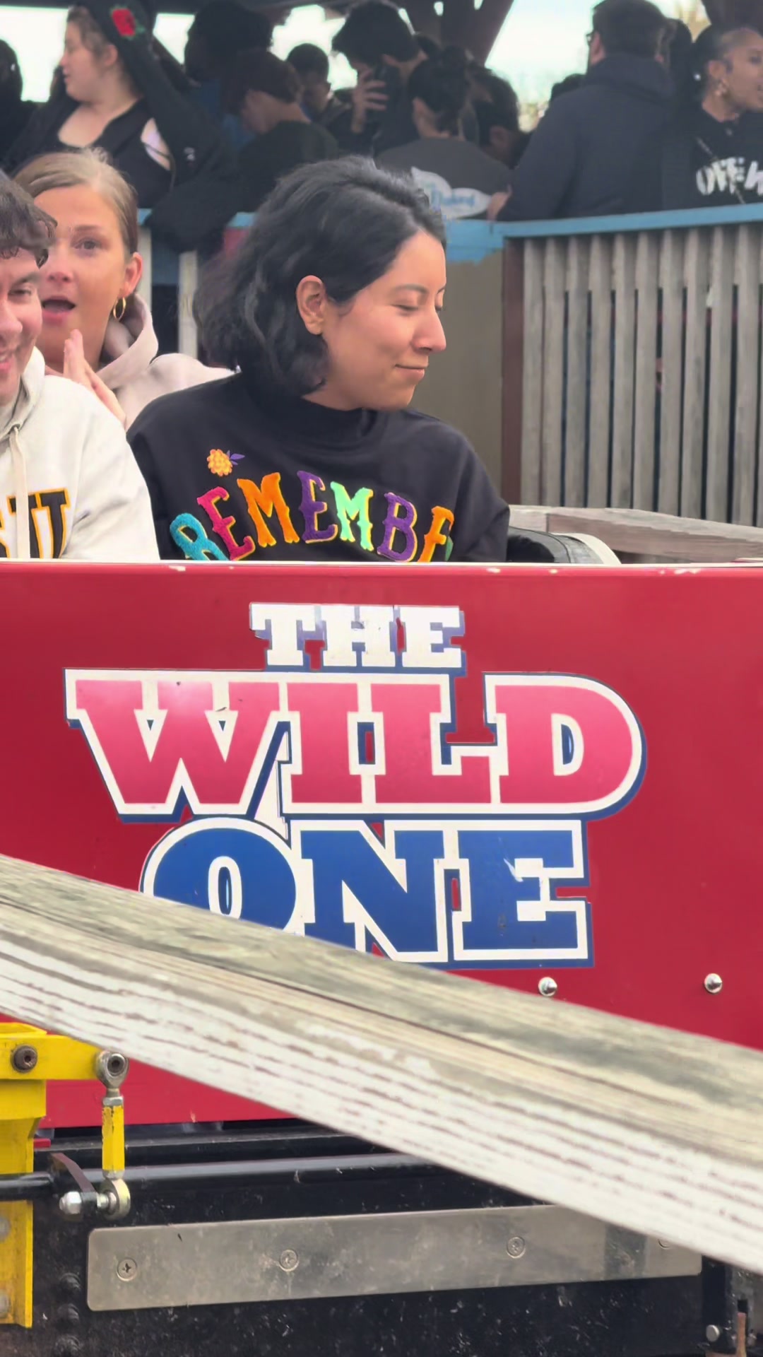 @smthboutrollercoasters