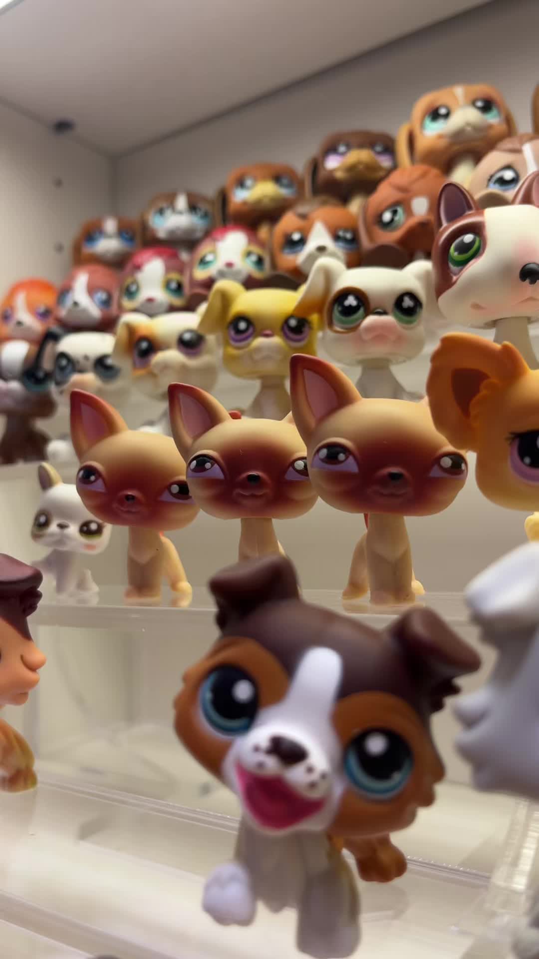 @Alyssa 🧸