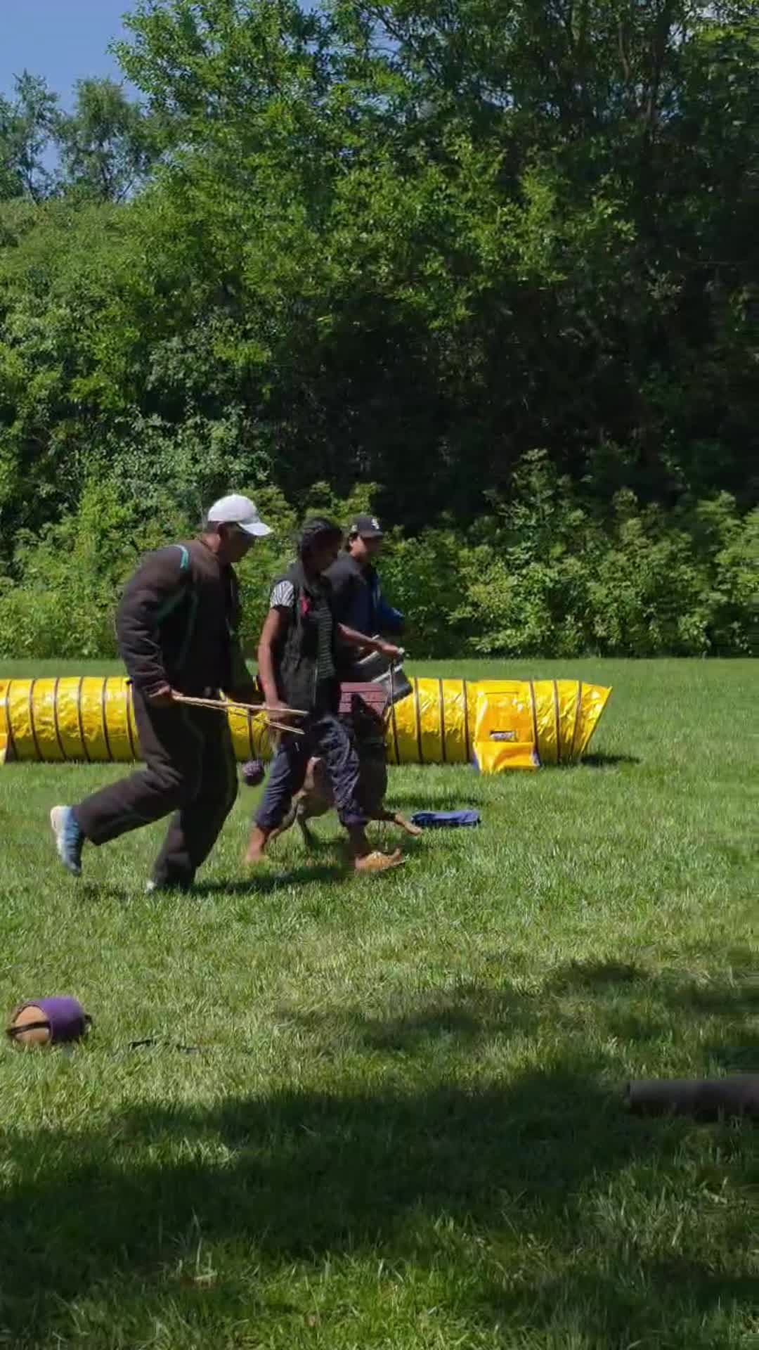 @dogstrainjen