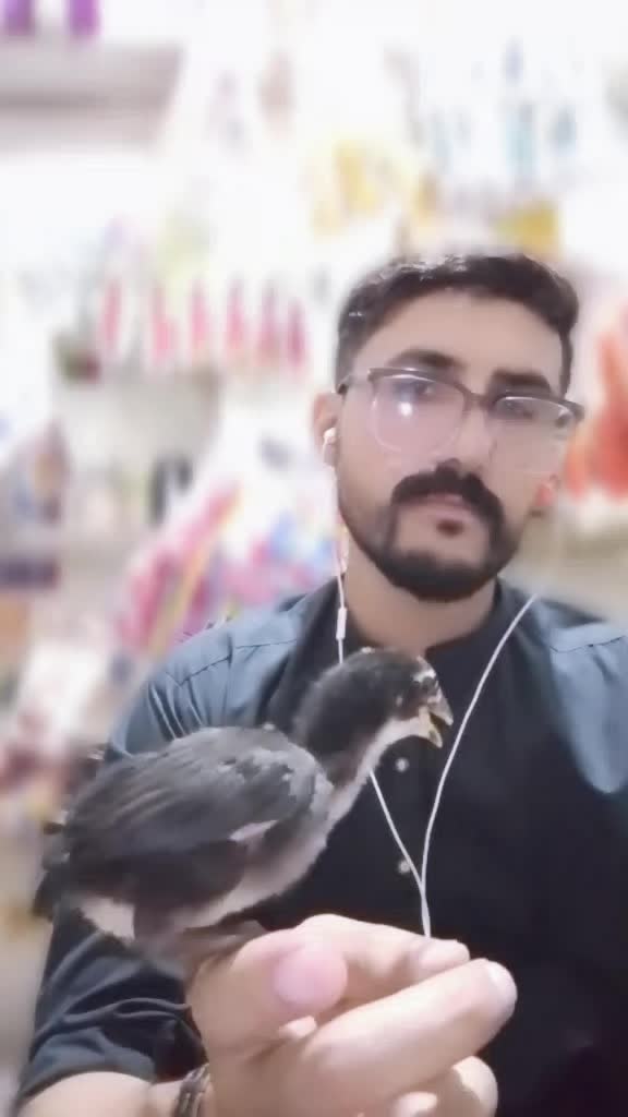 @Izhaan khan