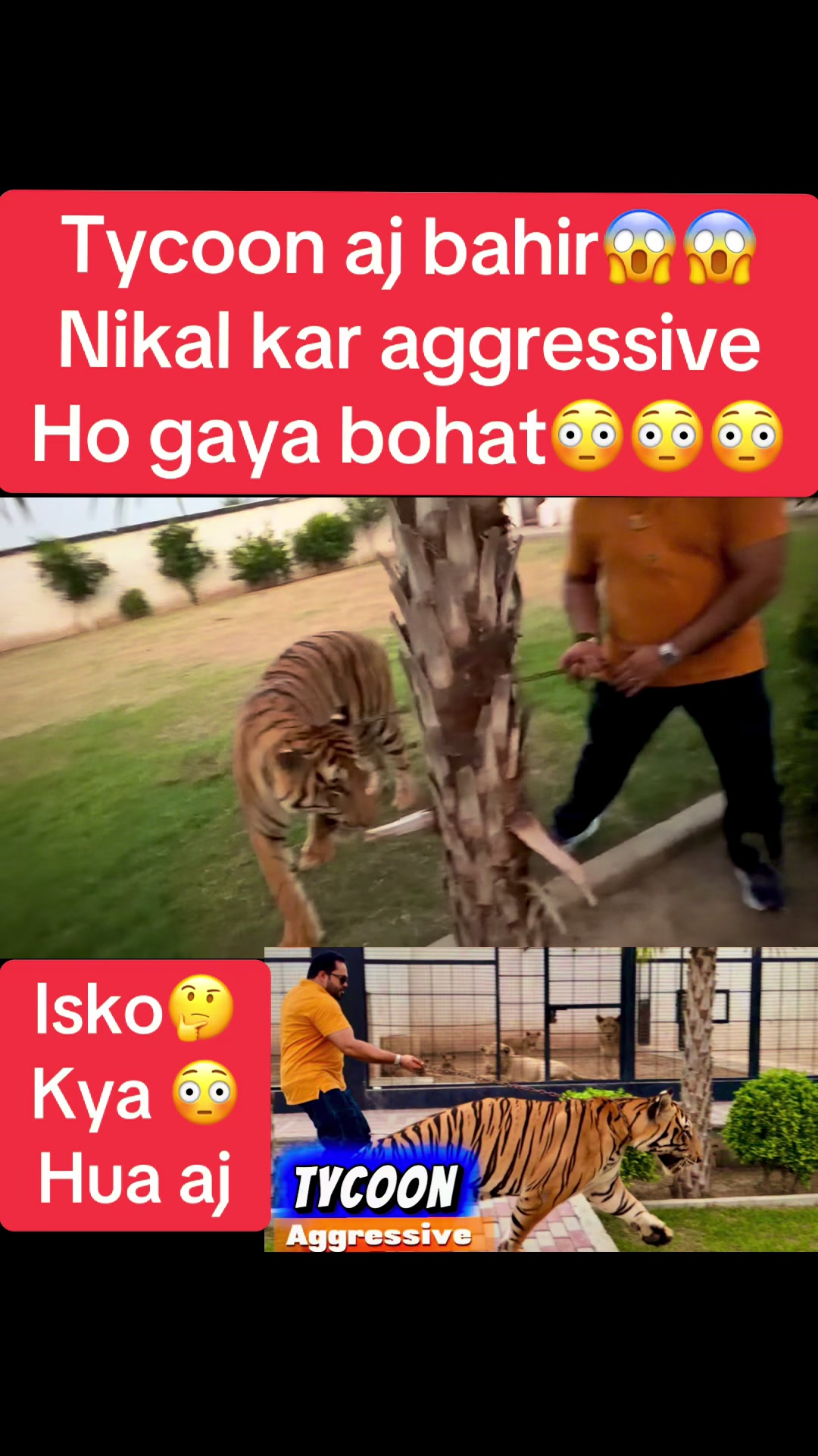 @Mian saqib