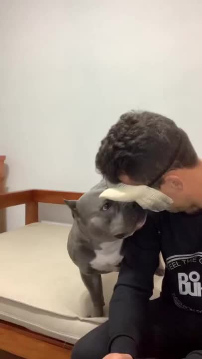 @uxifnfsiyyn