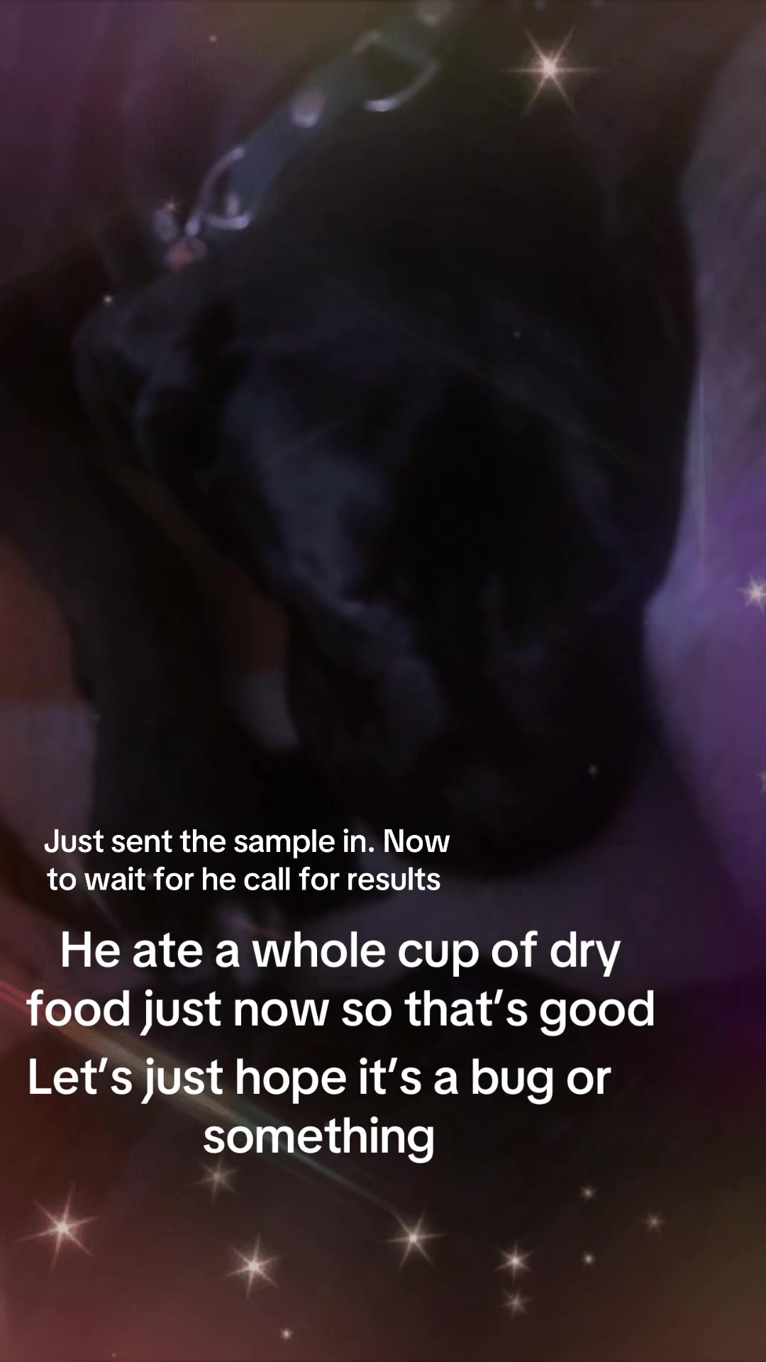@👻🌙R617BD✨💫☠️🕸️❤️🩹