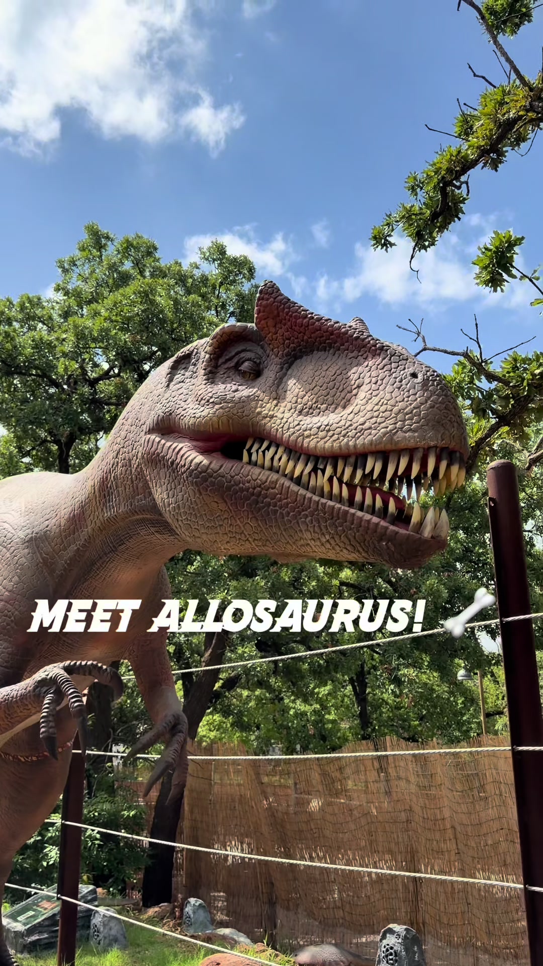 @okczoo