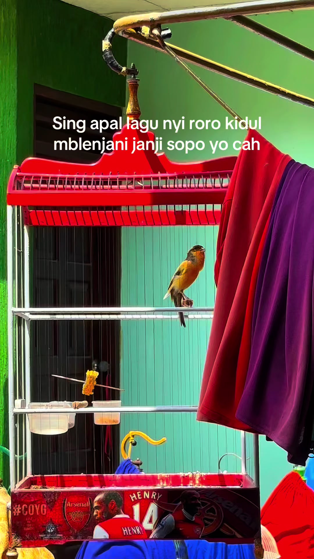 @Dirga Putu