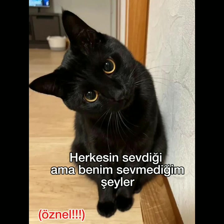 @sa&ccedil;malık tamamen sa&ccedil;malık