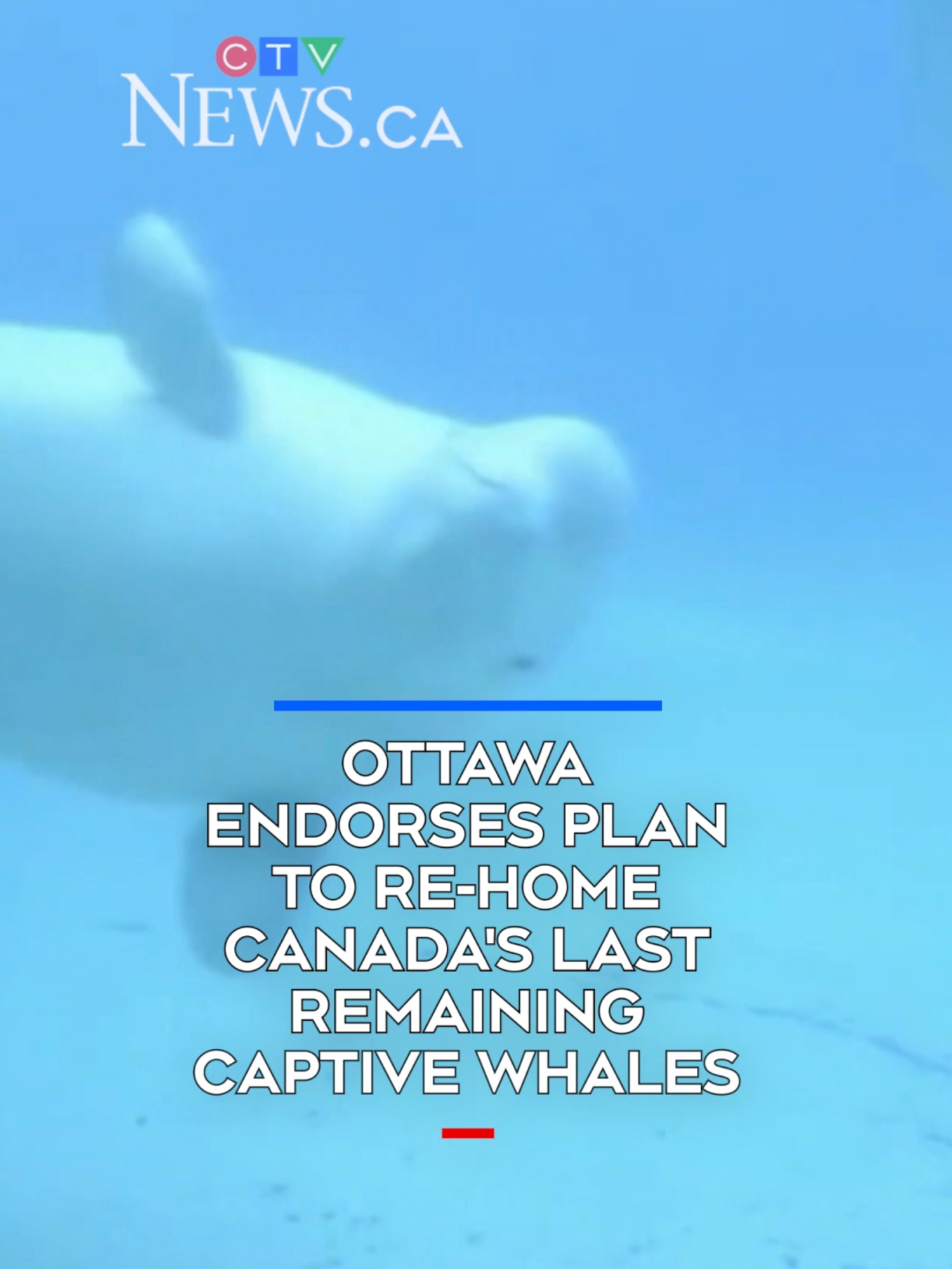 @CTVNews