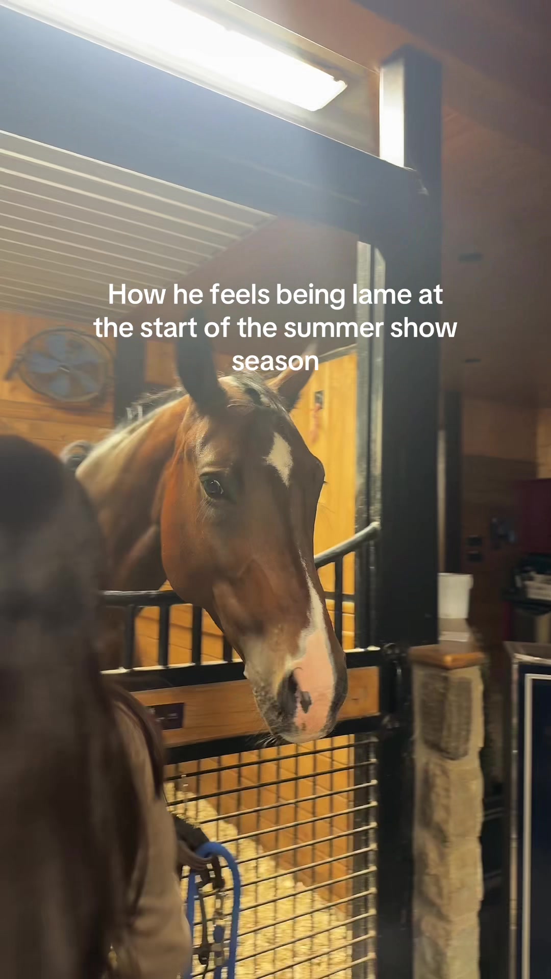 @Sierra Cabot🐴