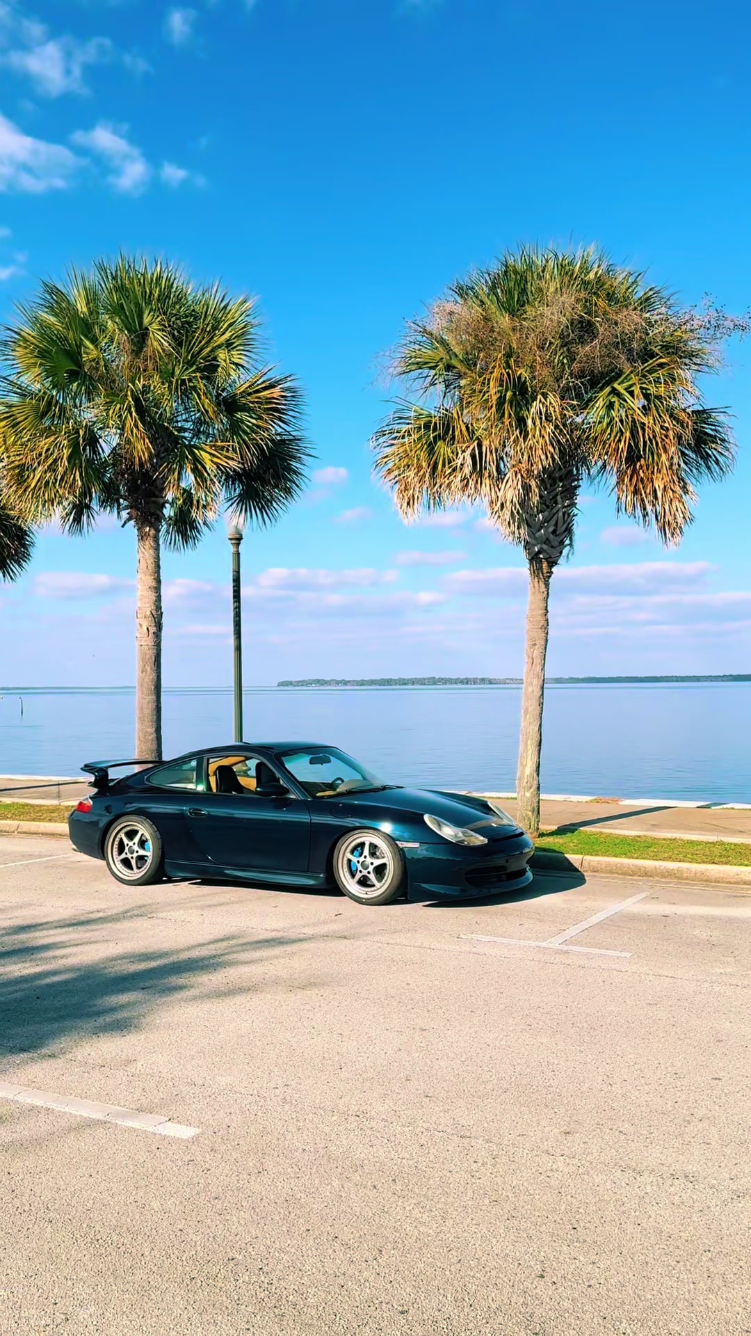 @Porsche Bias