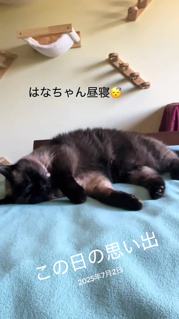 @sakurahana016