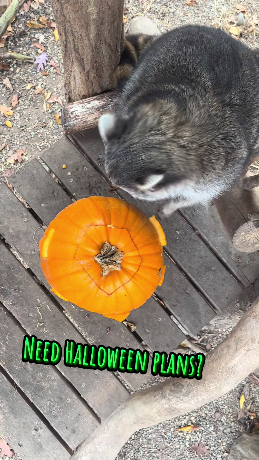 @HowellNatureCenter