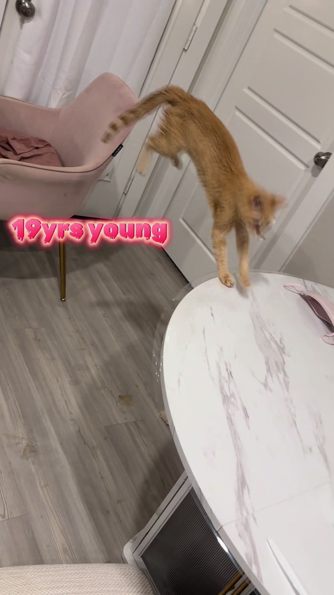 @Kay