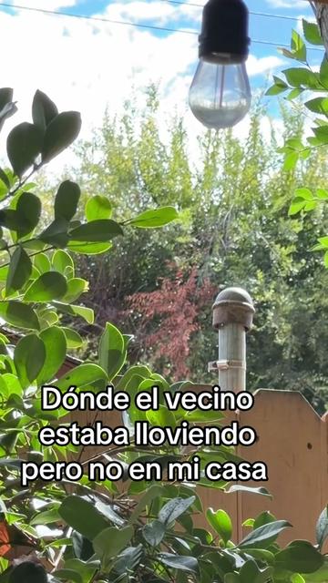@Alexander