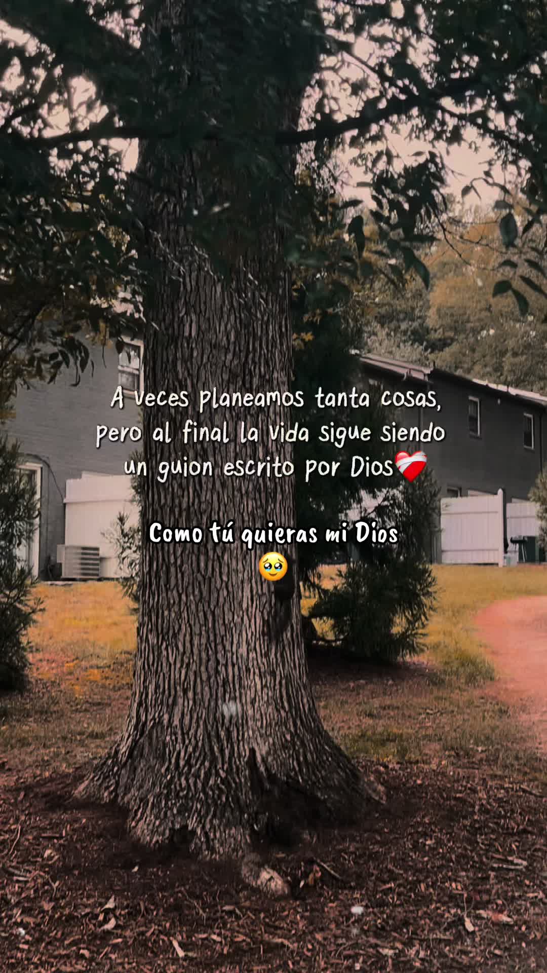 @☘️