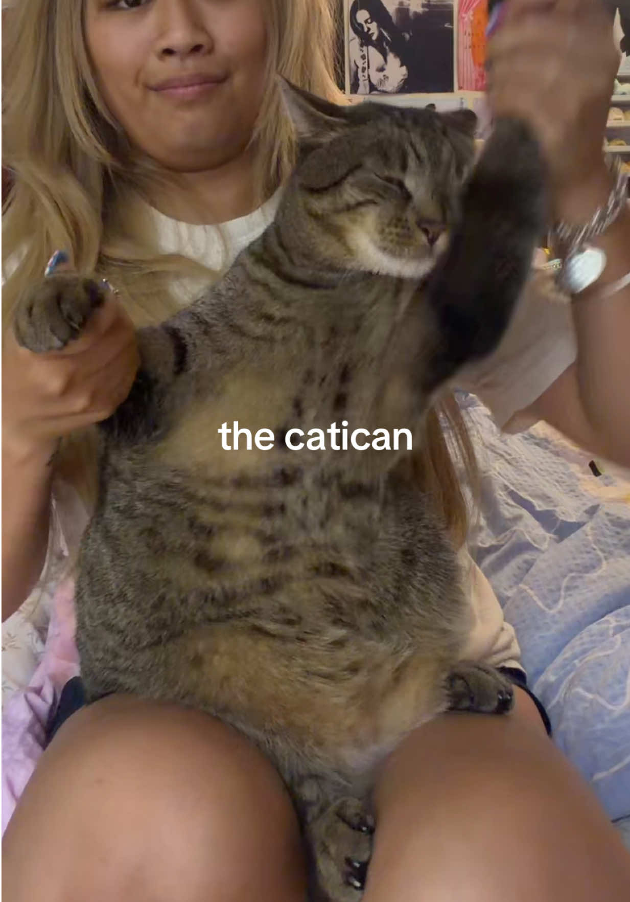 @alice *