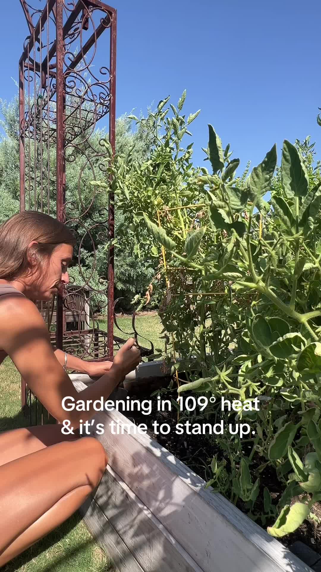 @SmartyNants