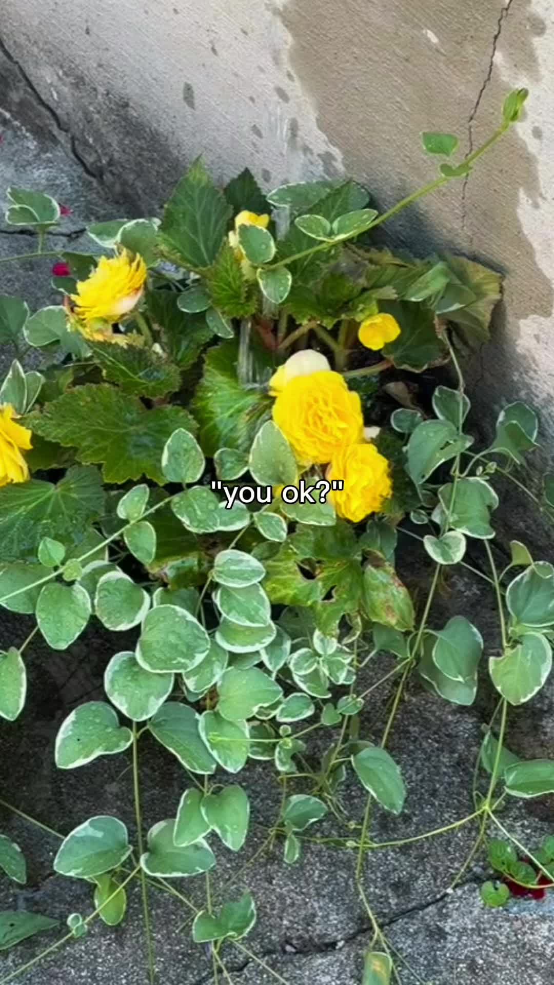 @Boohavingfun