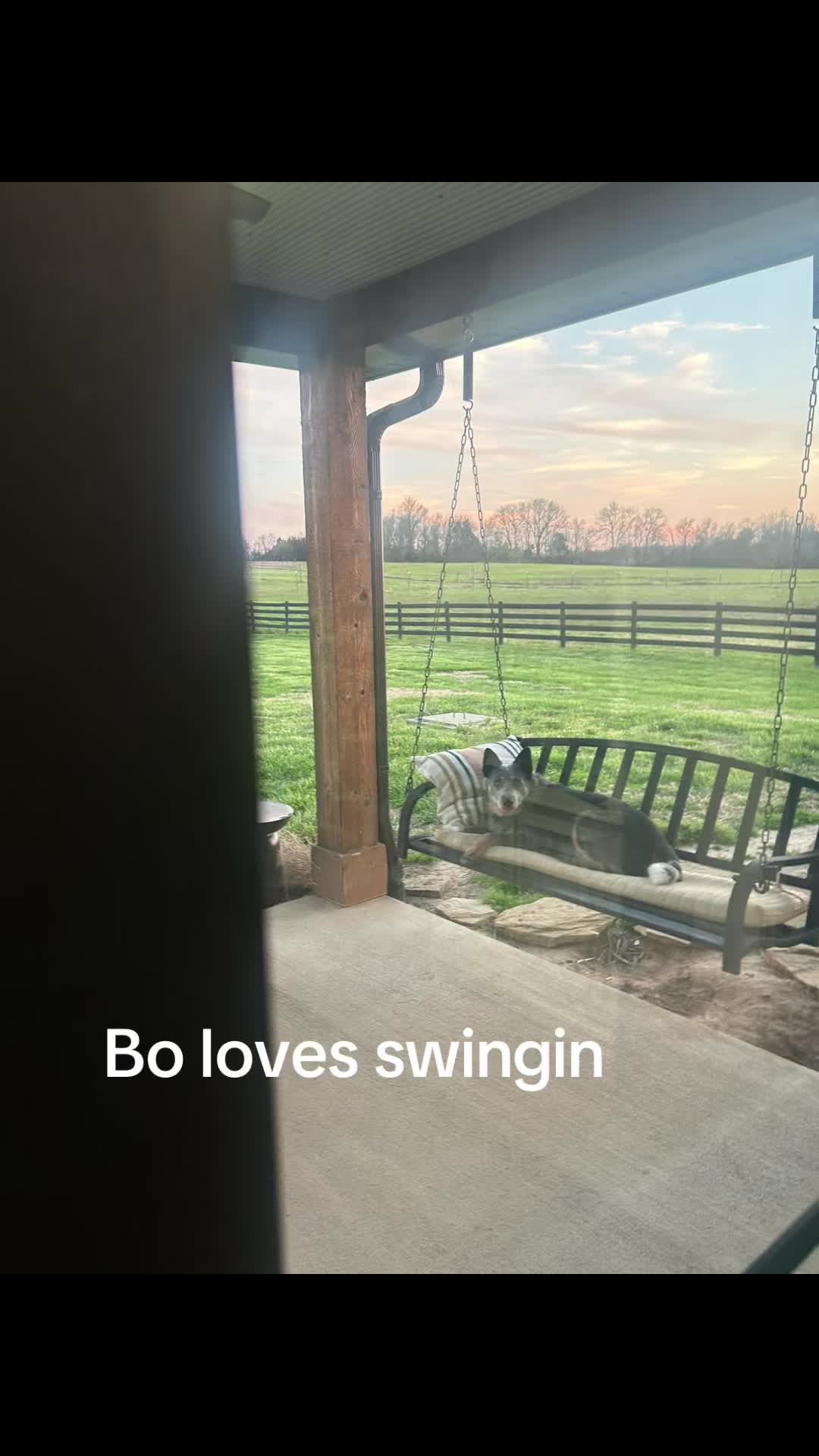 @Life With Bo