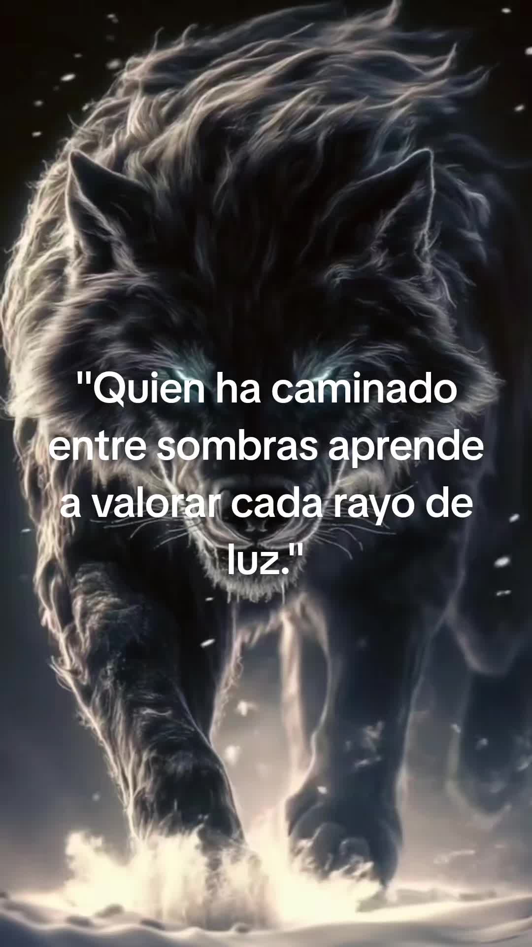 @sombra5060