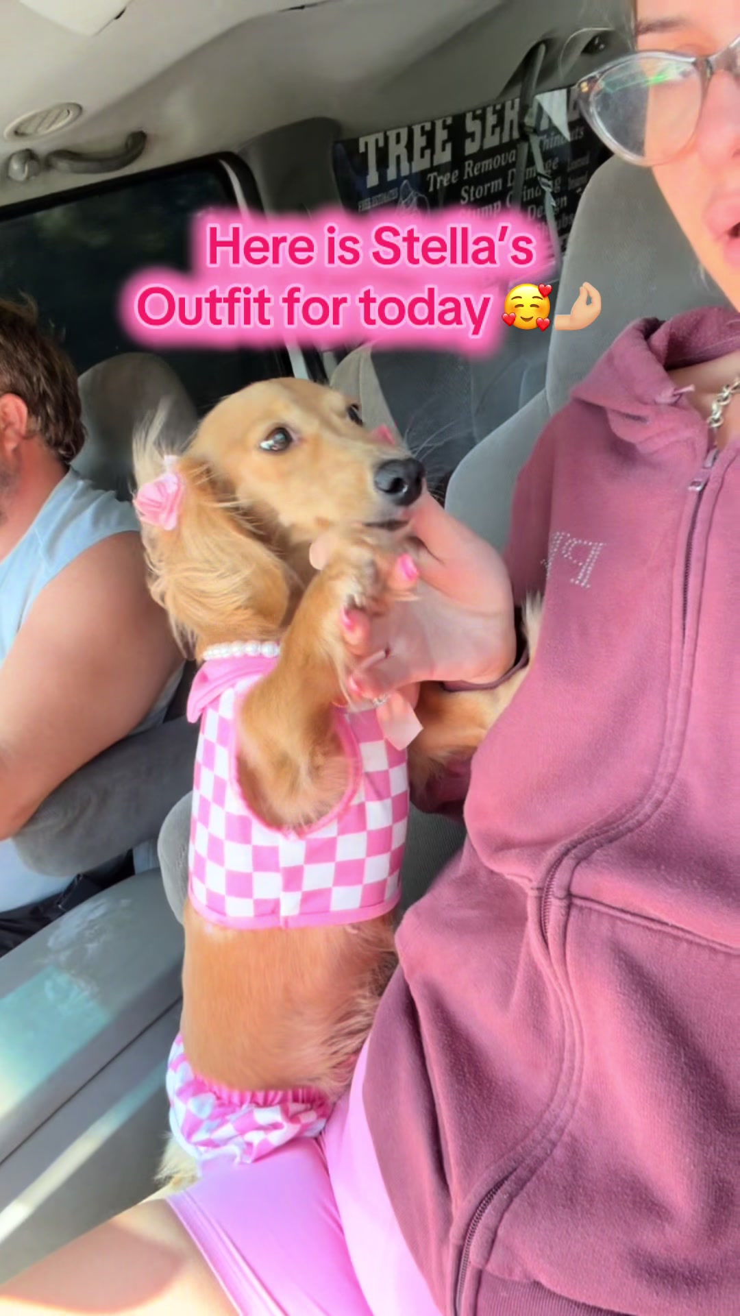 @MyDitzyDoxiesOfFlorida