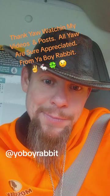 @Rabbit800329