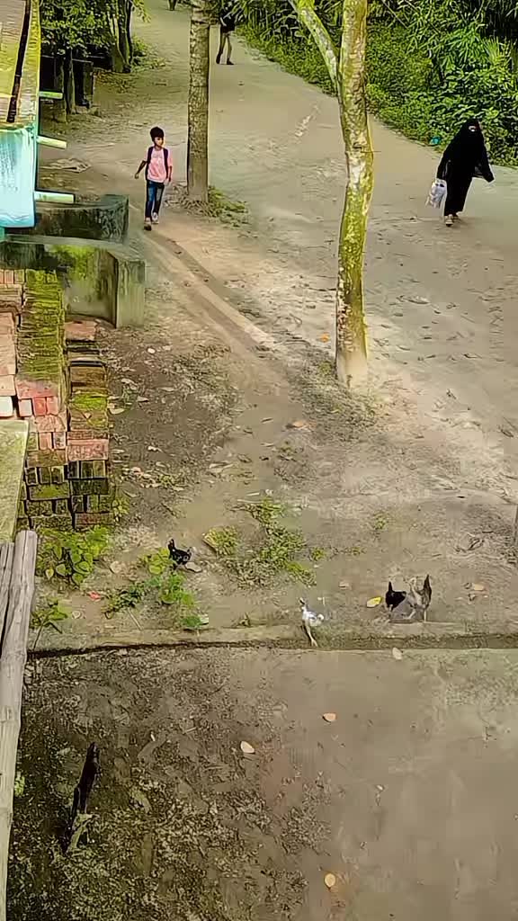 @乂❤রূপমোহিনী❤乂