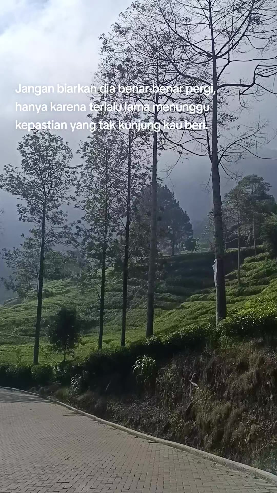 @Kopi Hitam