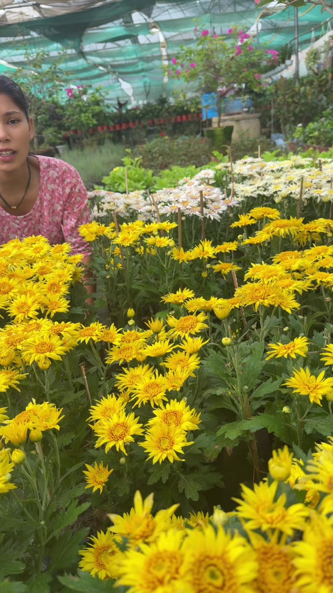 @Uday Garden Centre