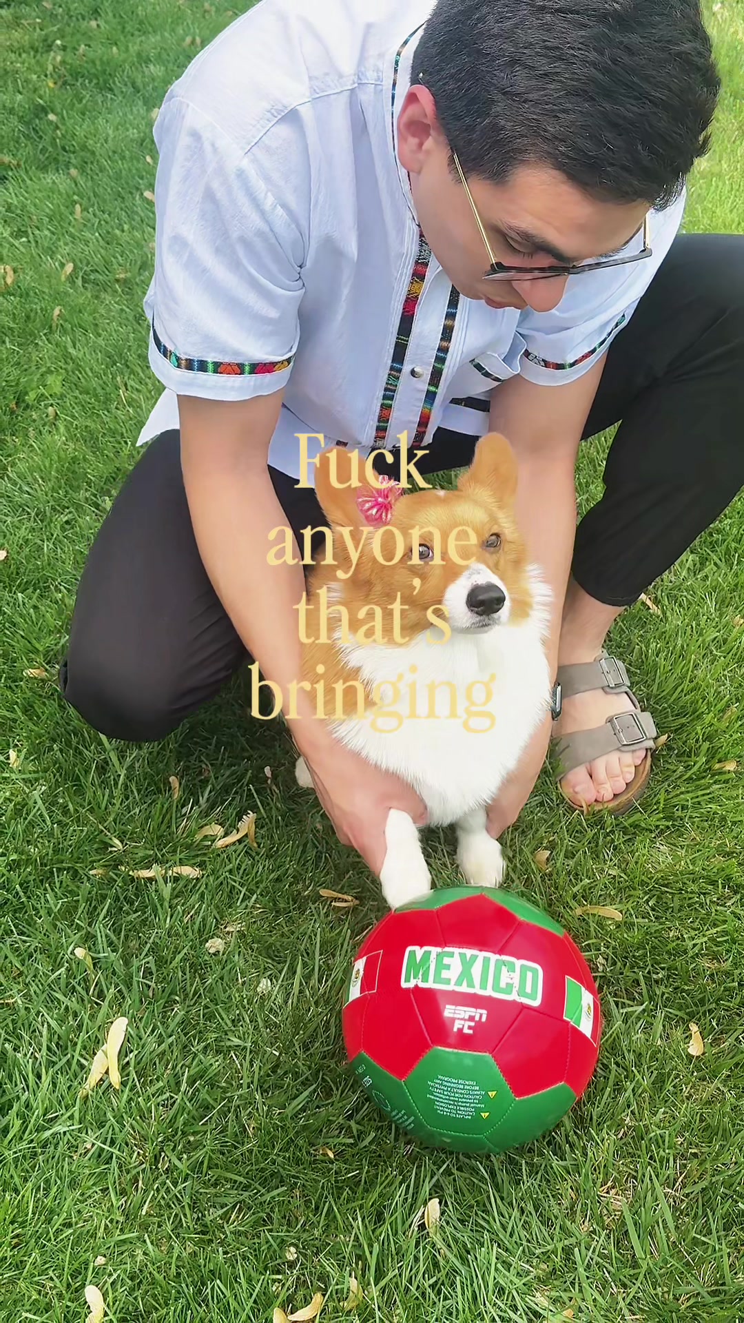 @Hope the Corgi