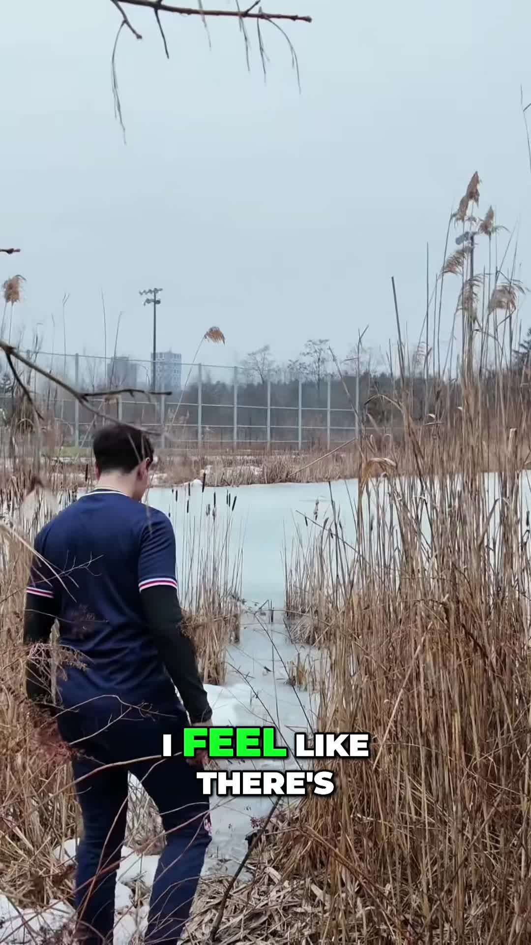 @ray