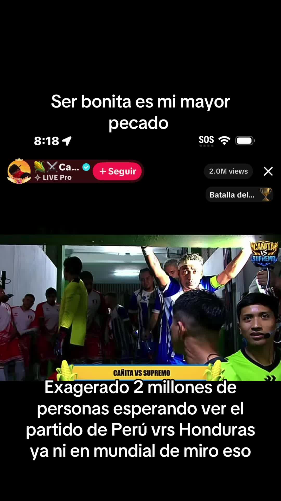 @Bichota🩵