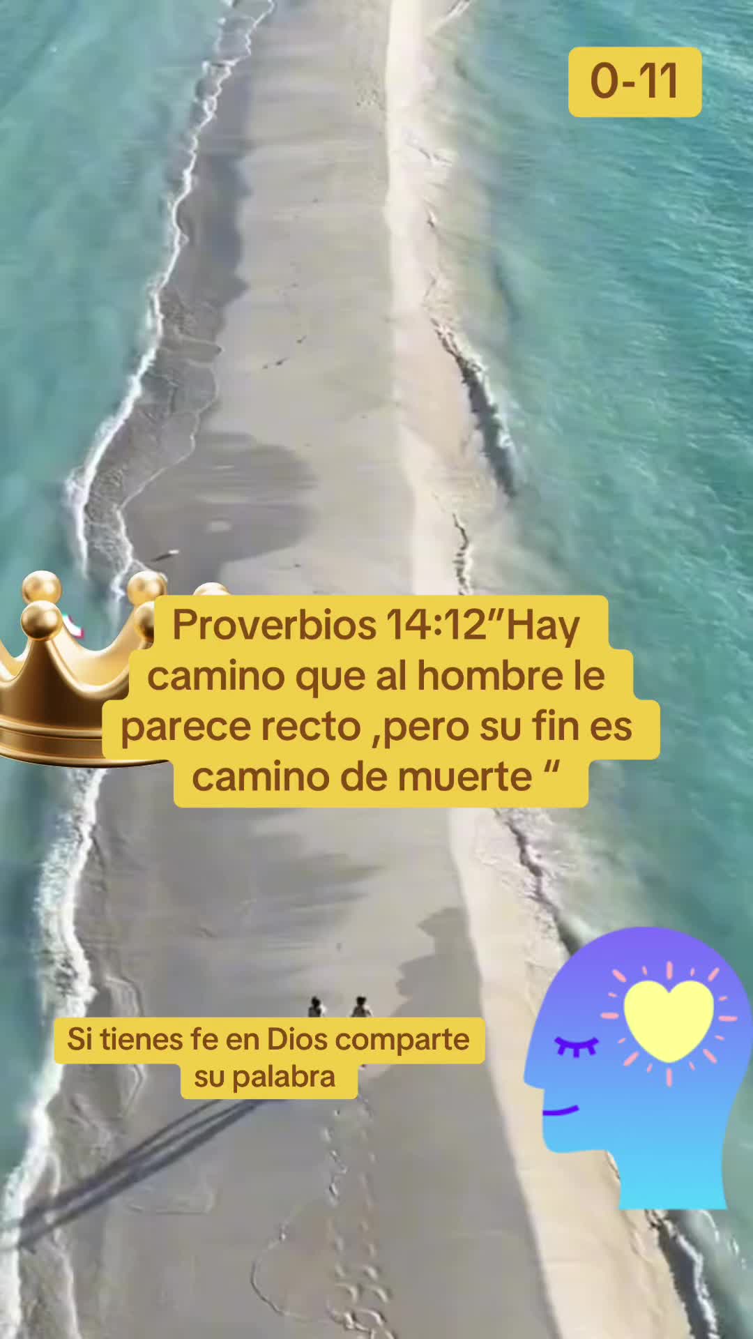 @cindy11.6