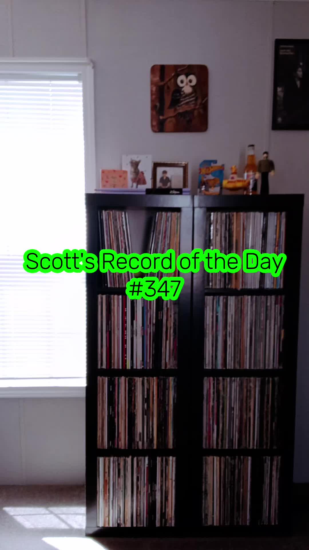 @Scott Reed ❌️