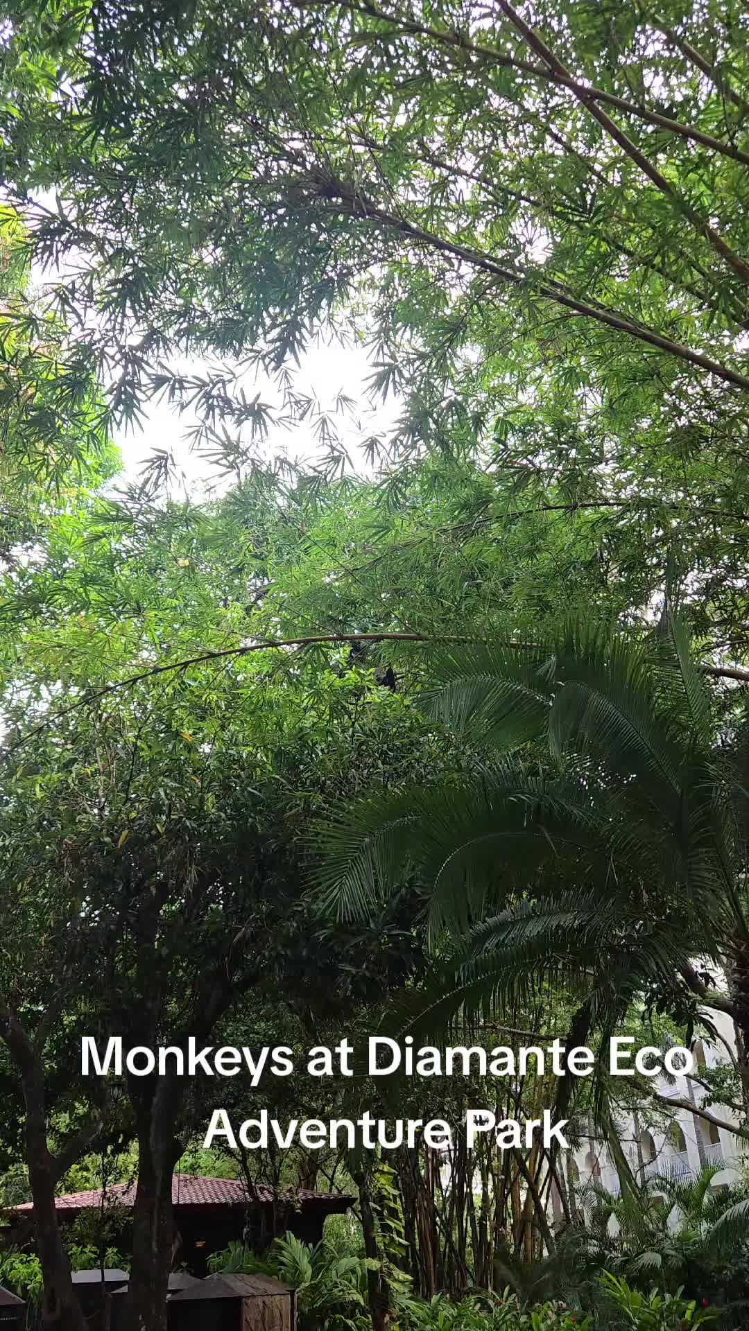 @Lola.47