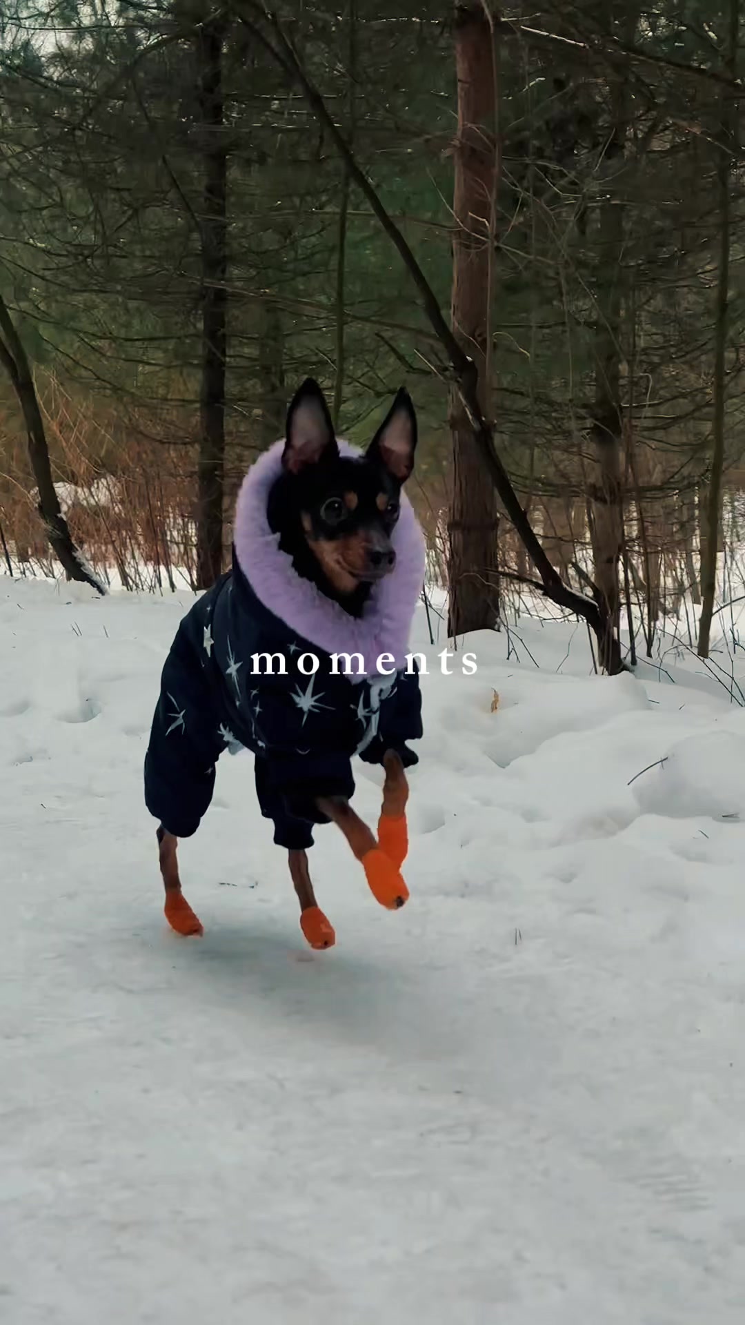 @Евгения