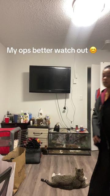 @Amber Averyhart