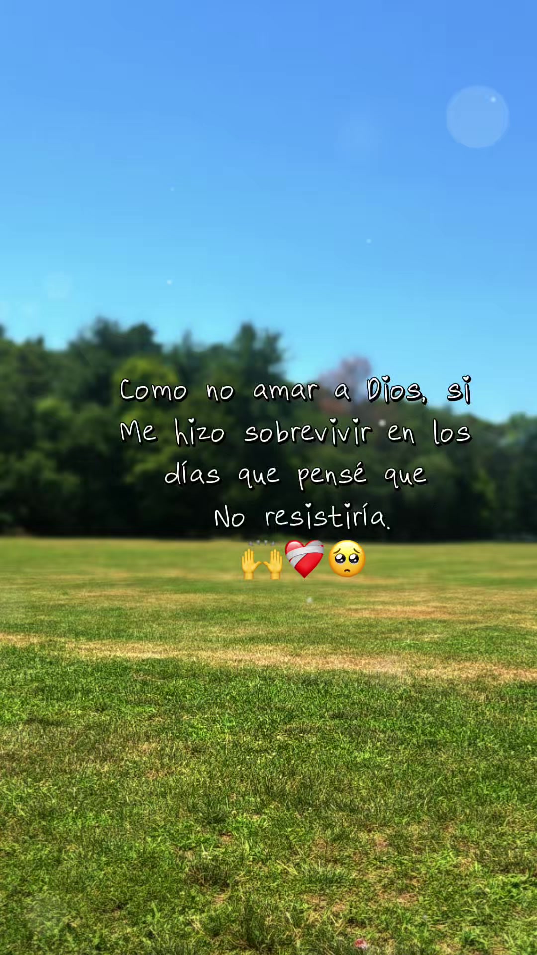 @ALICYA🎀🎀
