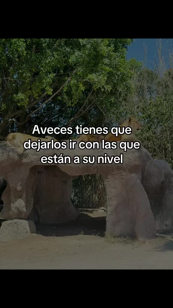 @gali.dj